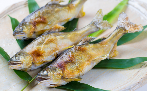 鮎の塩焼き