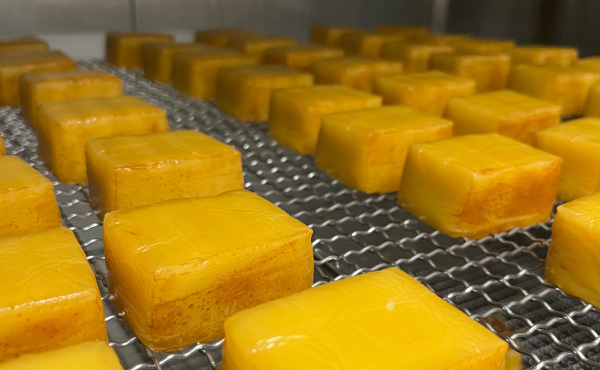 スモークチーズ-燻製2段仕込み-（山椒味）