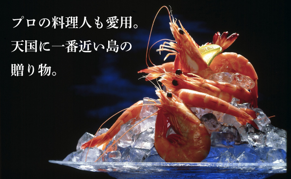 天使の海老（1kg）