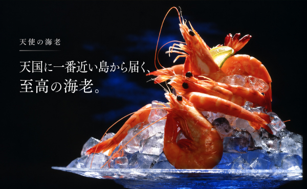 お刺身で楽しめる天使の海老