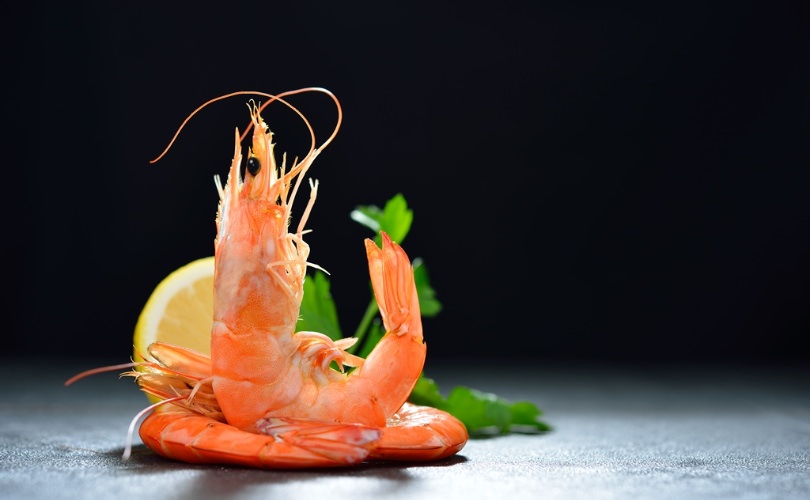 プロの料理人が選ぶ~天使の海老~